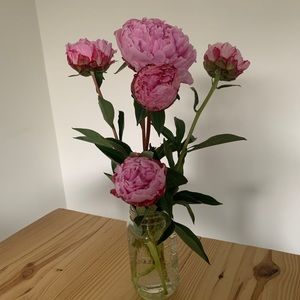 Meet your Posher, Wenni